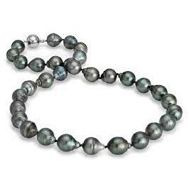 Colliers 14 Kt Roger Roy TPN01-8-10A