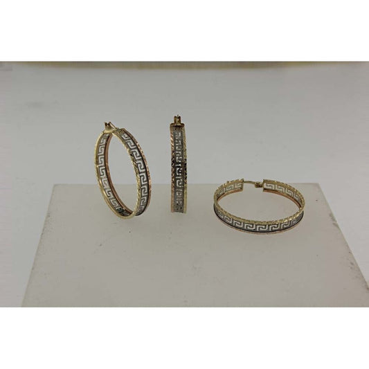 Boucles D’oreilles 10 Kt Roger Roy E5089593T