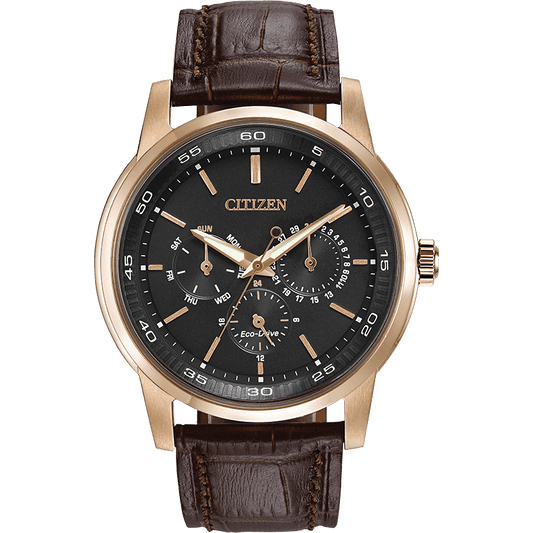 Montre Citizen Watch BU2013-08E
