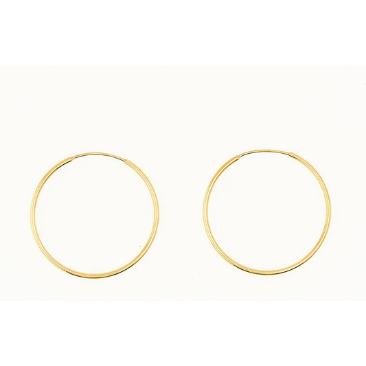 Boucles D’oreilles 10 Kt Roger Roy E22TB1179-20-Y