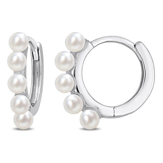 Boucles D’oreilles 10 Kt Roger Roy FC2B5X-U6G8