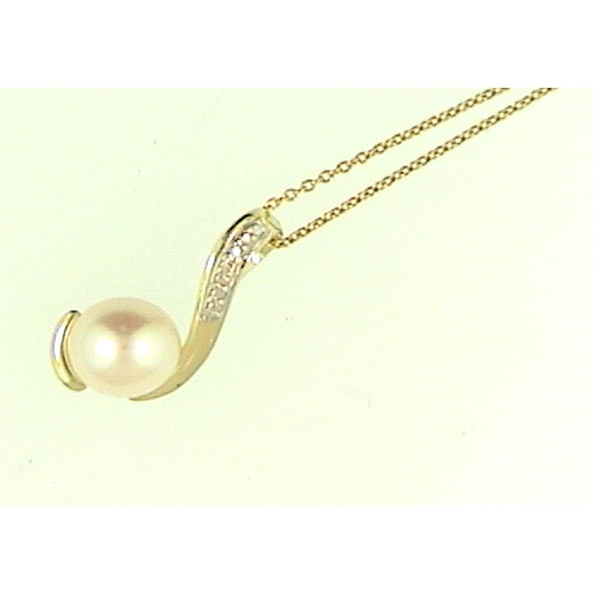 Pendentif 10 Kt Roger Roy 243072