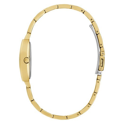 Montre Guess Watch GW0384L2