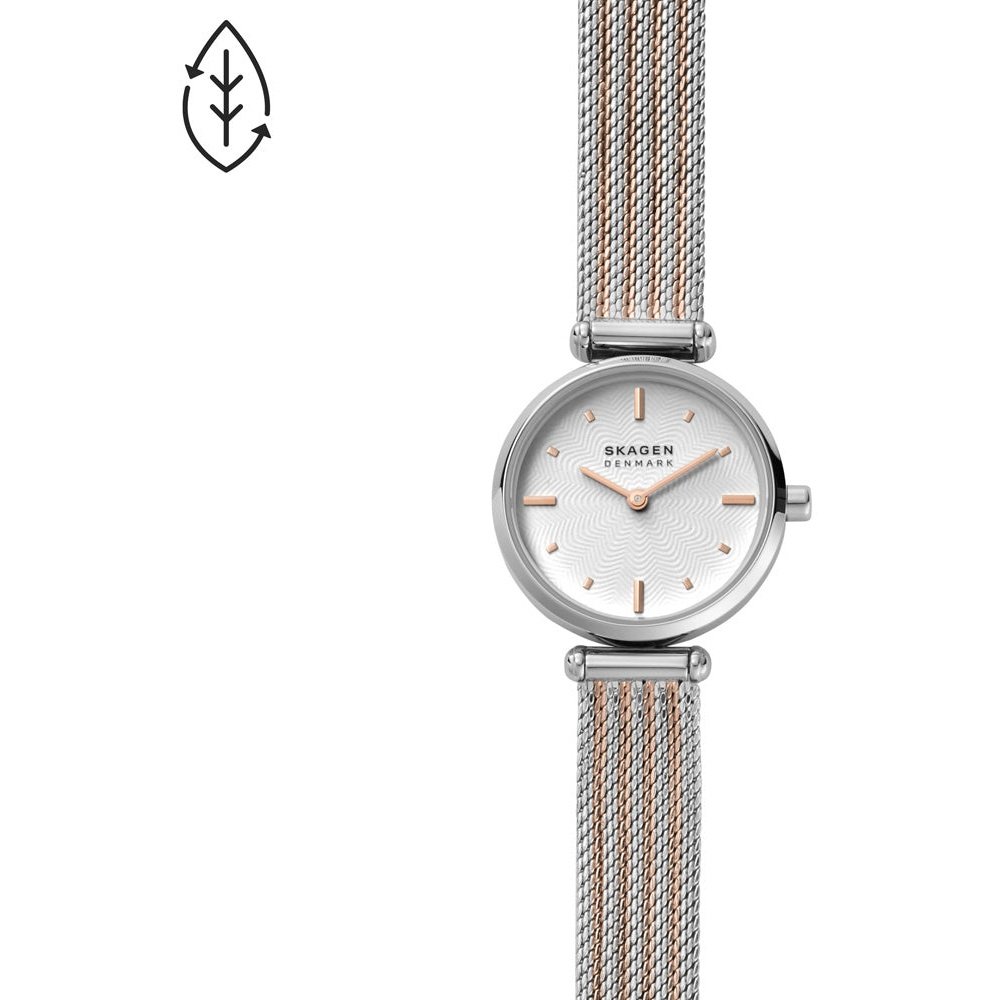 Montre Skagen Watch SKW2978