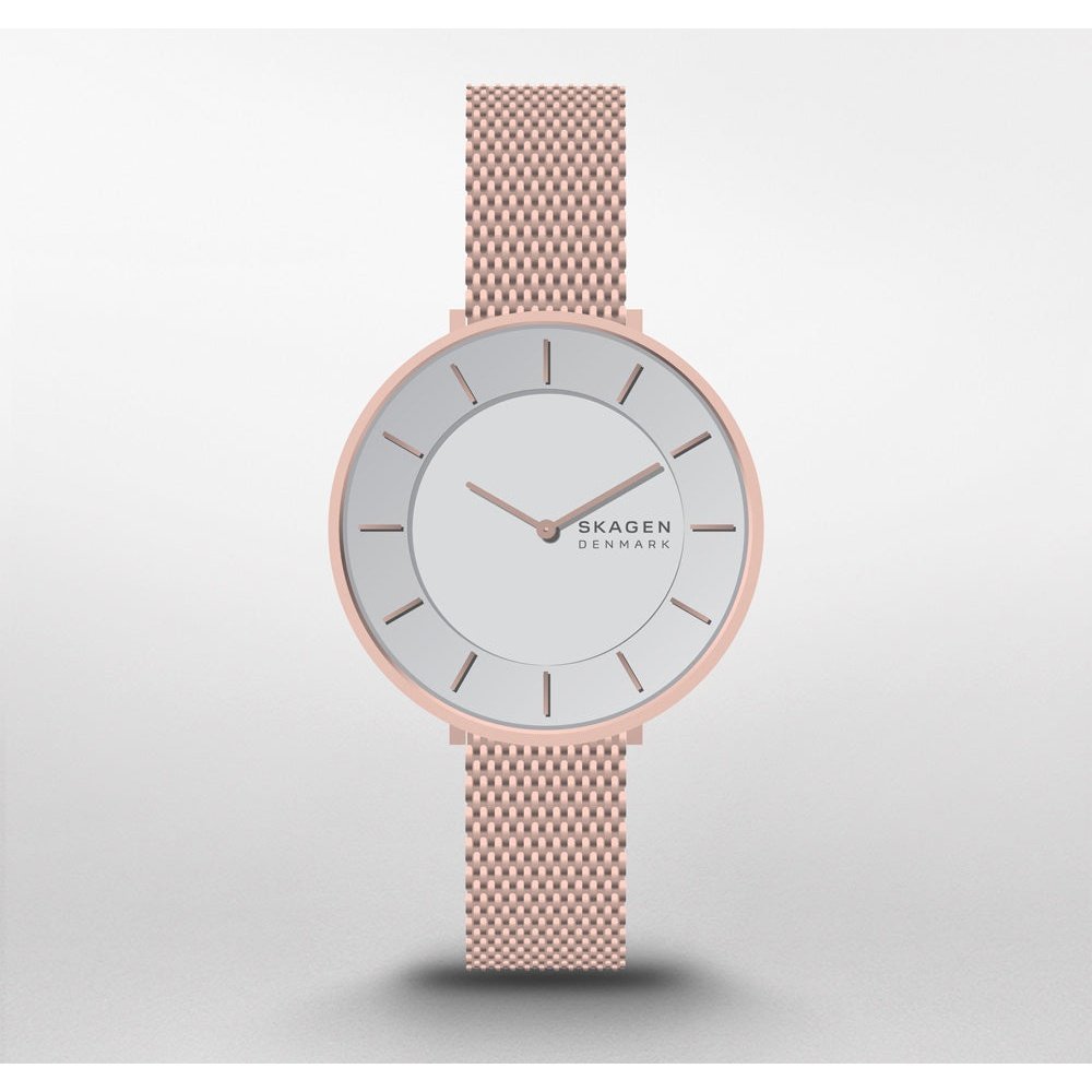 Montre Skagen Watch SKW3013