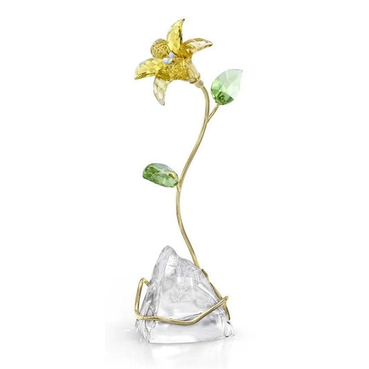 Accessoire Swarovski 5666972