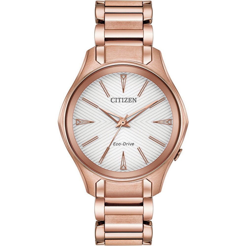 Montre Citizen Watch EM0593-56A