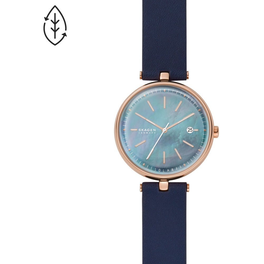 Montre Skagen Watch SKW2981