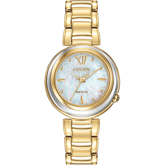 Montre Citizen Watch EM0334-54D