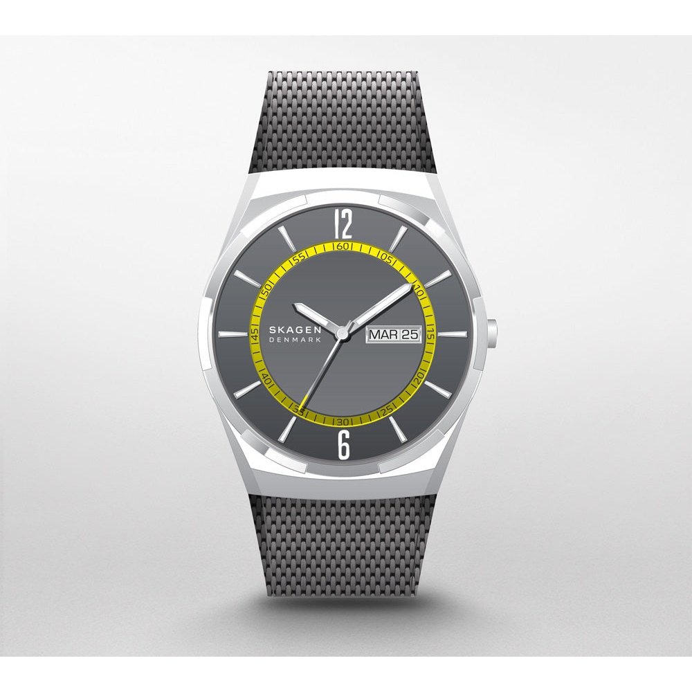 Montre Skagen Watch SKW6789