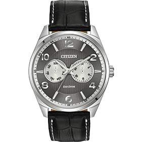 Montre Citizen Watch AO9020-17H