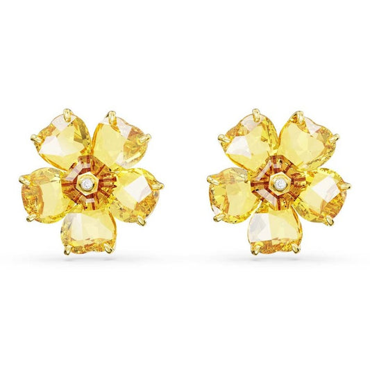 Boucles d’oreilles Swarovski 5650571