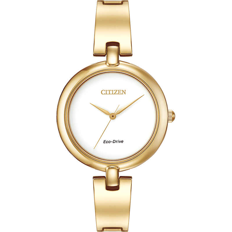 Montre Citizen Watch EM0222-82A