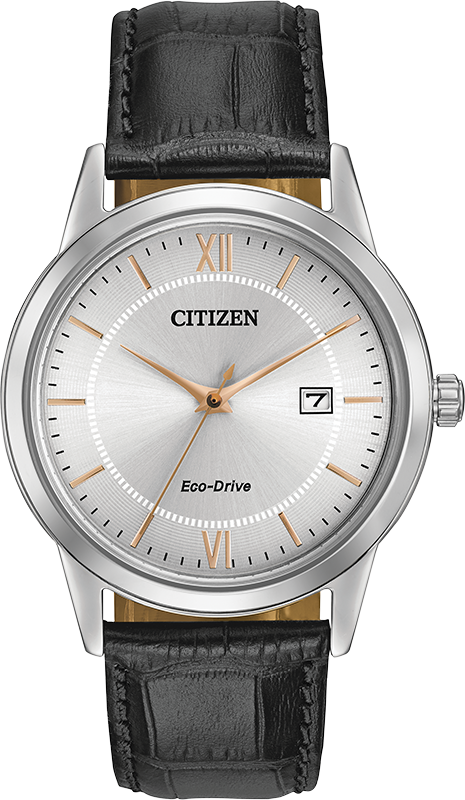 Montre Citizen Watch AW1236-03A