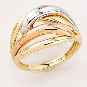 Bague 10 Kt Roger Roy R206057TC