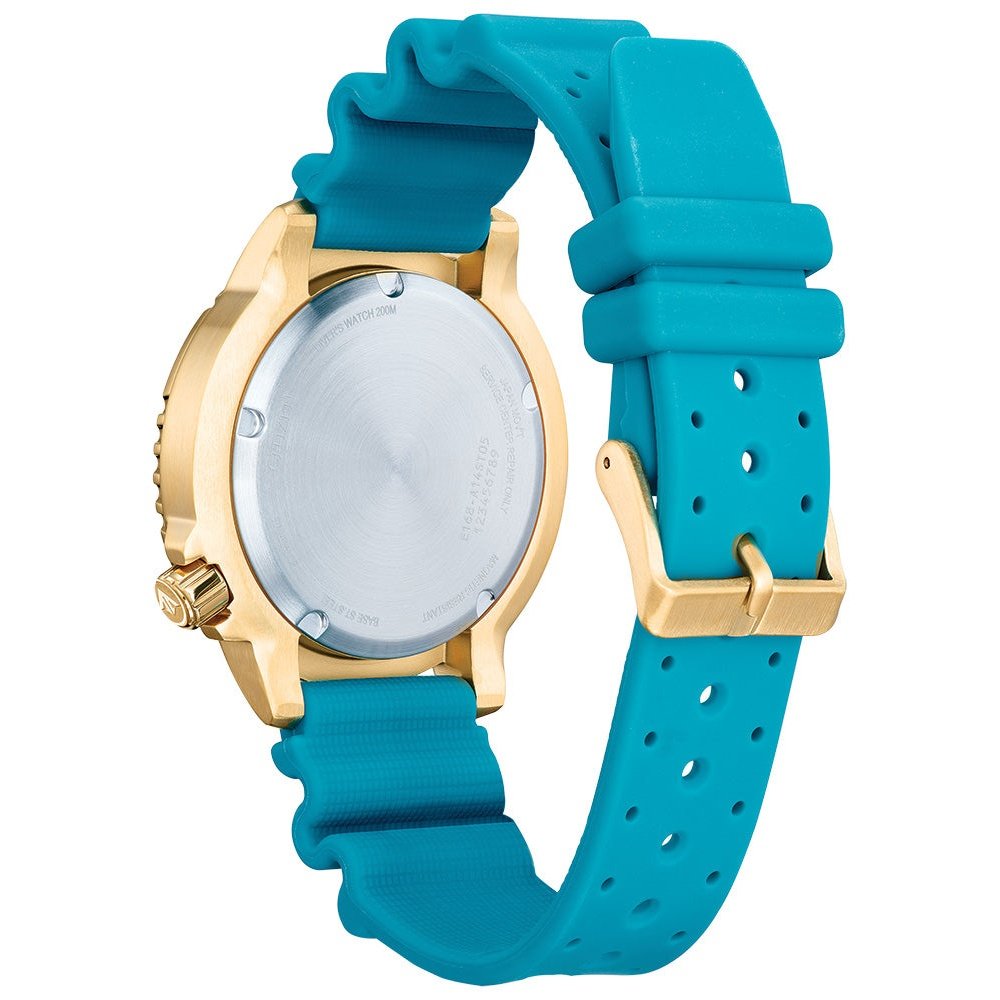 Montre Citizen Watch BN0162-02X