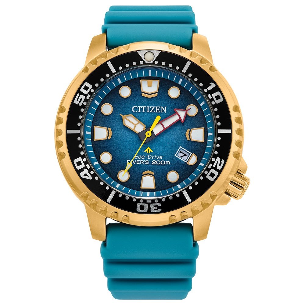 Montre Citizen Watch BN0162-02X