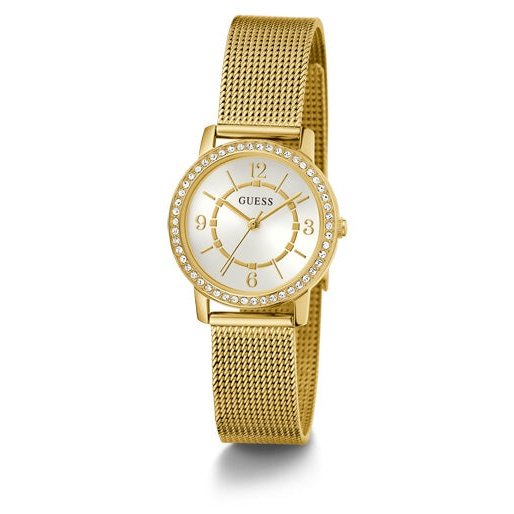 Montre Guess Watch GW0534L2