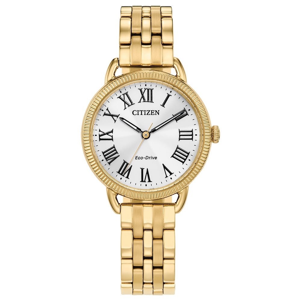 Montre Citizen Watch EM1052-51A