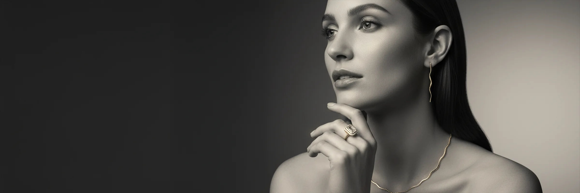 Roger Roy internal page hero