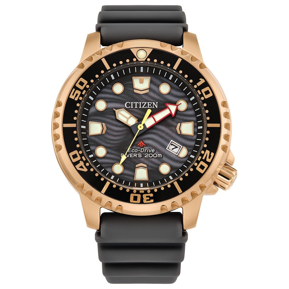 Montre Citizen Watch BN0163-00H