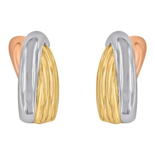 Boucles D’oreilles 10 Kt Roger Roy E-723167-103T