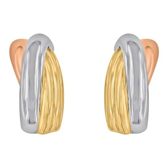 Boucles D’oreilles 10 Kt Roger Roy E-723167-103T