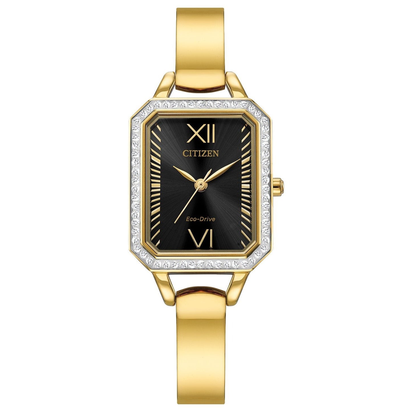 Montre Citizen Watch EM0982-54E