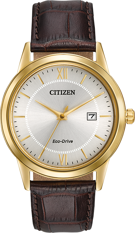 Montre Citizen Watch AW1232-04A