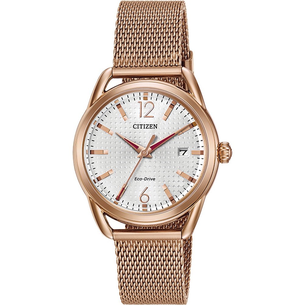 Montre Citizen Watch FE6083-72A