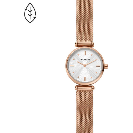 Montre Skagen Watch SKW2955