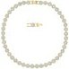 Colliers Swarovski 5505468