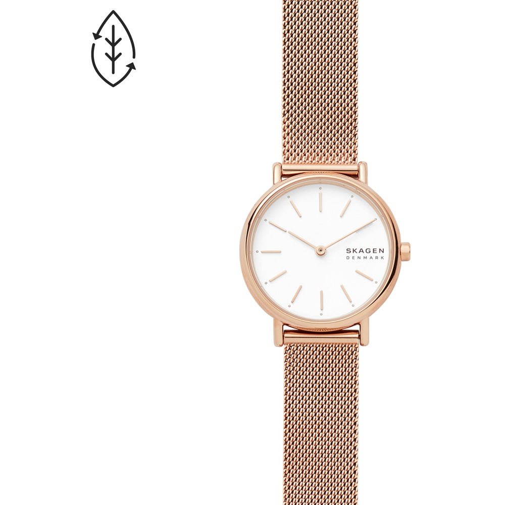 Montre Skagen Watch SKW2694