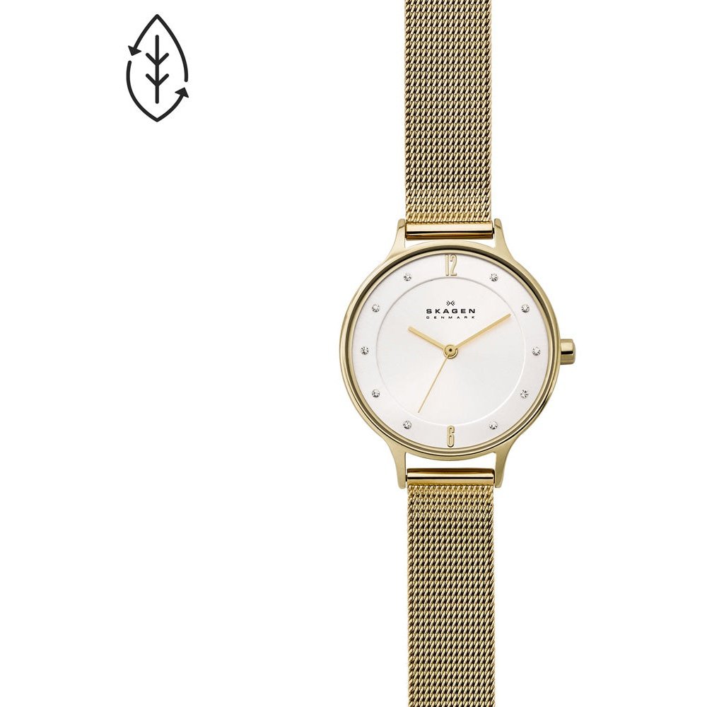 Montre Skagen Watch SKW2150