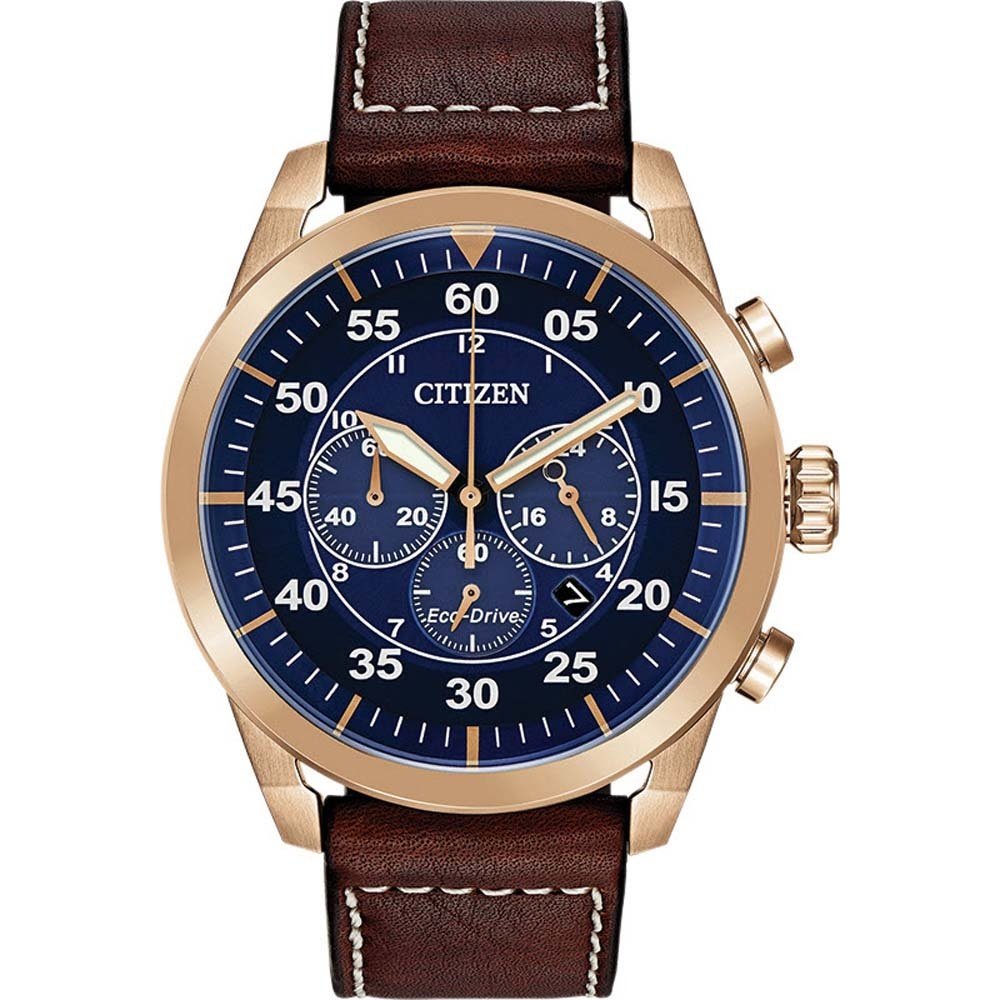 Montre Citizen Watch CA4213-18L