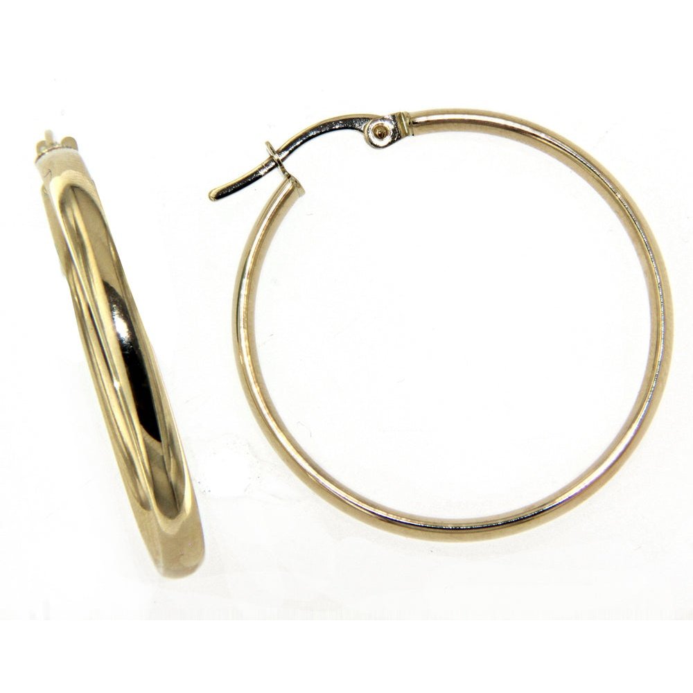 Boucles D’oreilles 10 Kt Roger Roy E000315-25SLY