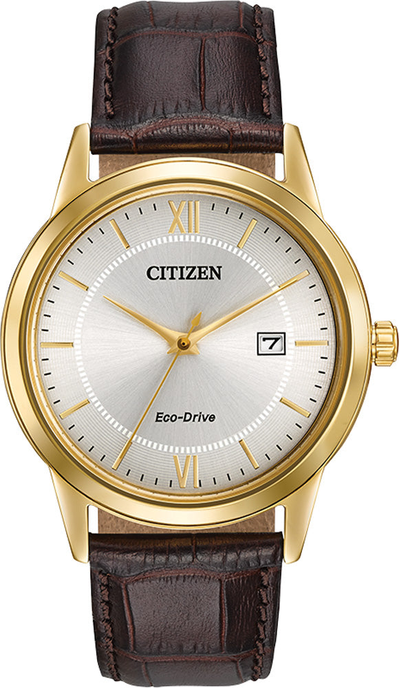 Montre Citizen Watch AW1232-04A