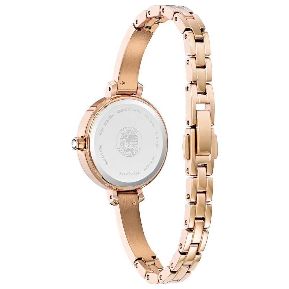 Montre Citizen Watch EM0863-53D