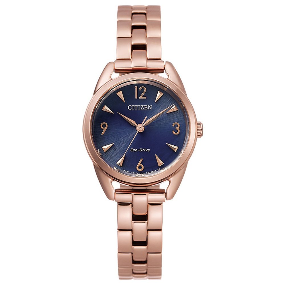 Montre Citizen Watch EM0688-78L