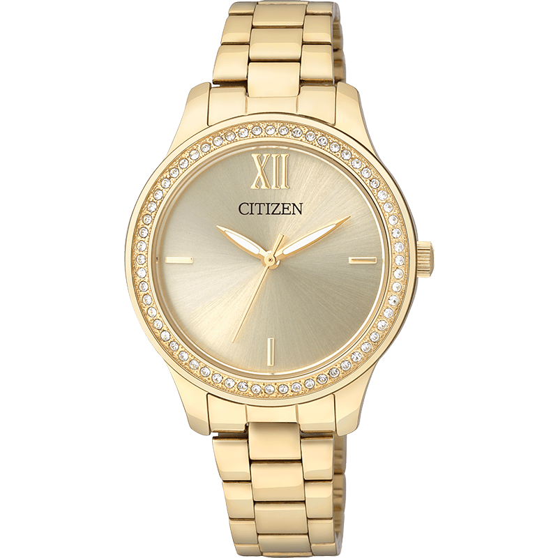 Montre Citizen Watch EL3088-59P