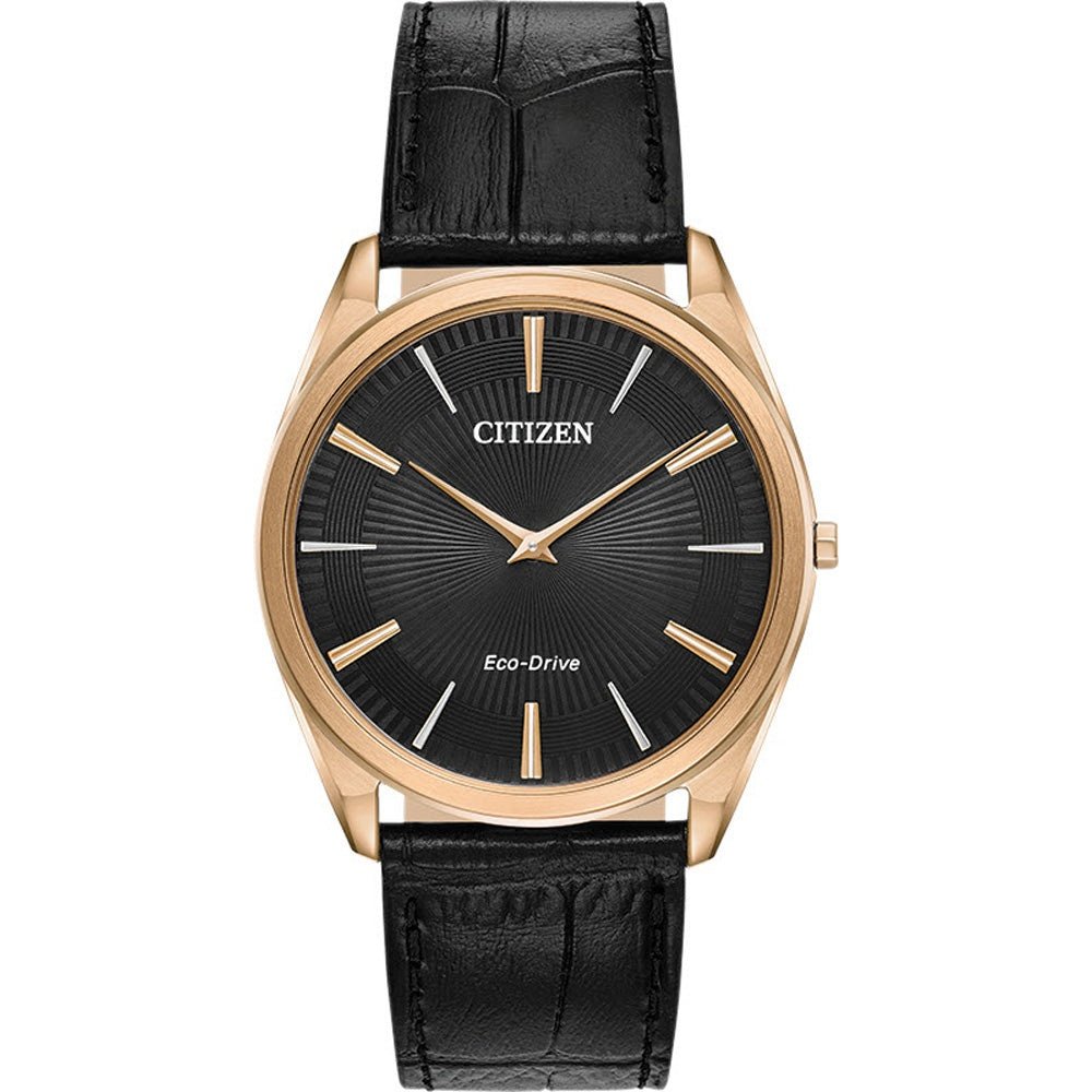 Montre Citizen Watch AR3073-06E