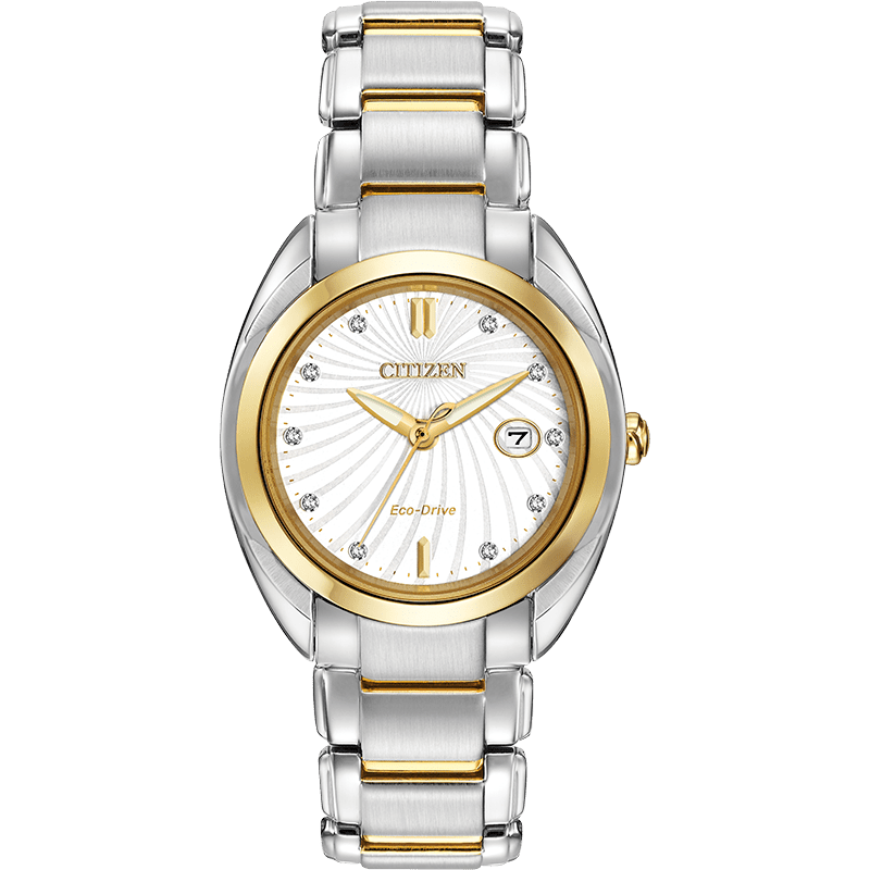 Montre Citizen Watch EM0314-51A