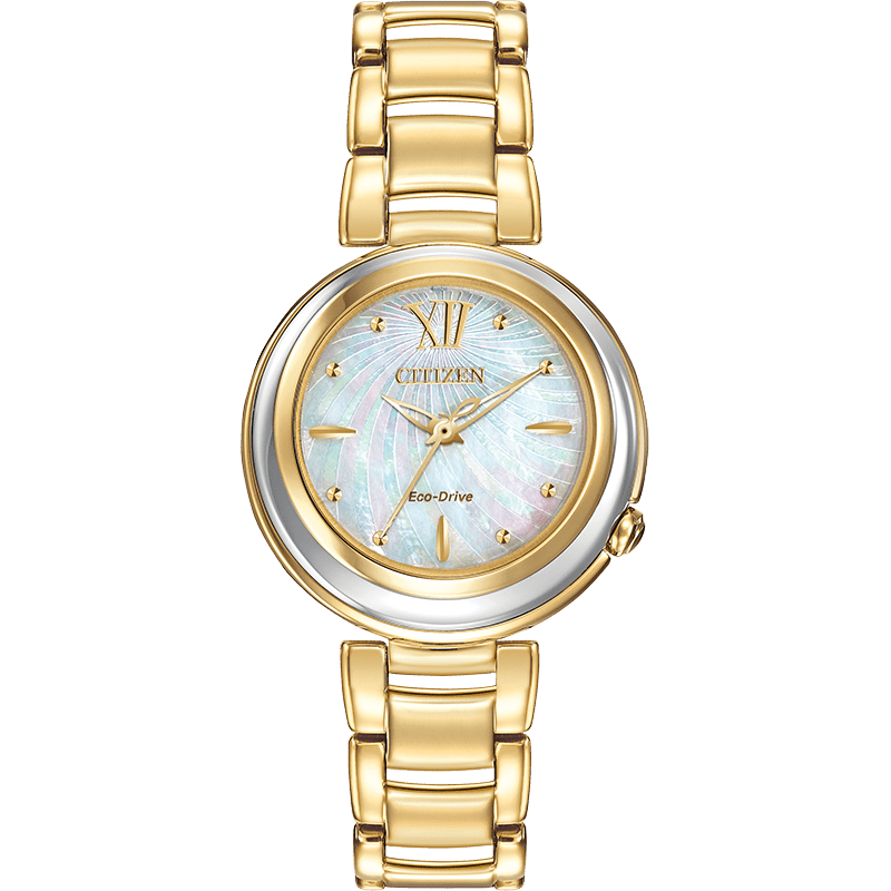 Montre Citizen Watch EM0334-54D