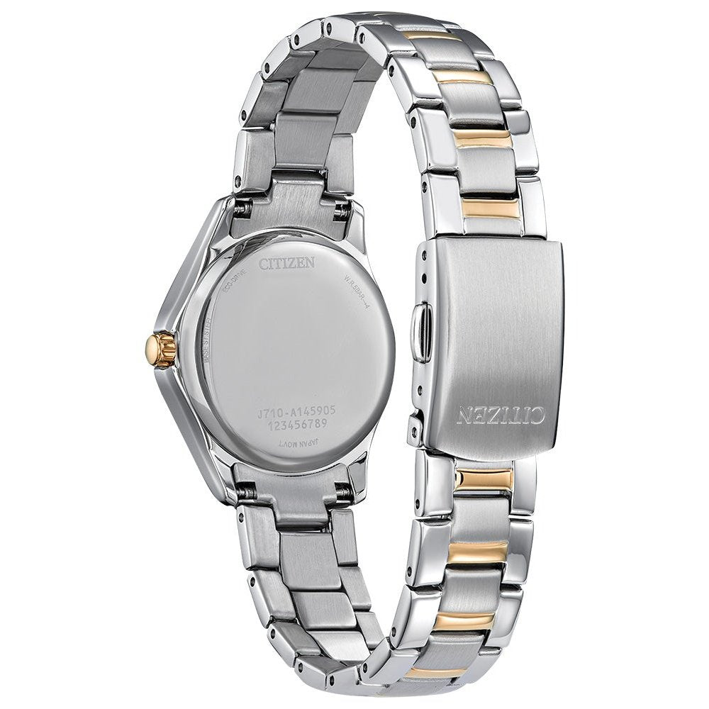 Montre Citizen Watch FE1146-71A