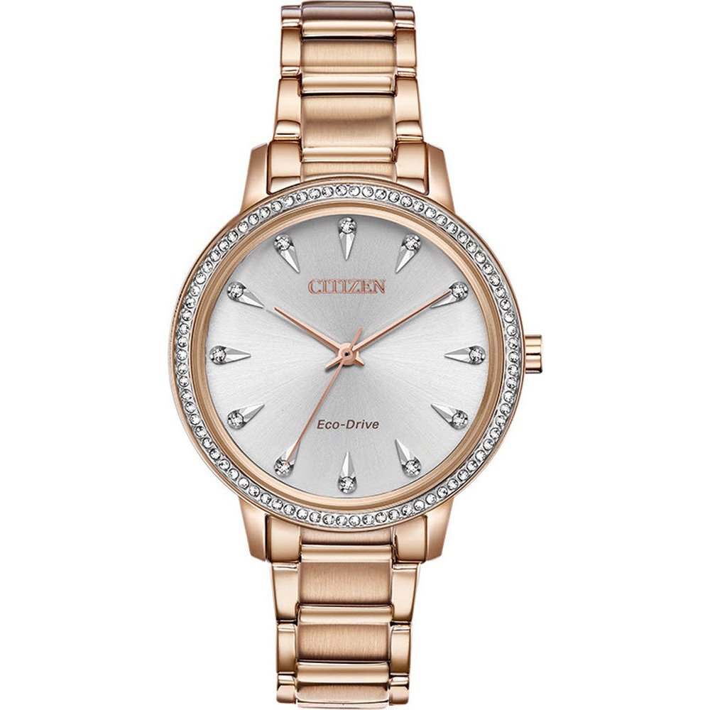 Montre Citizen Watch FE7043-55A