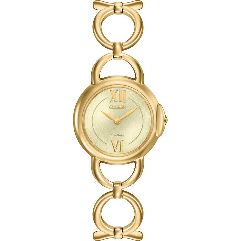 Montre Citizen Watch EX1452-53P