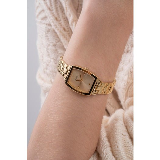 Montre Guess Watch GW0384L2